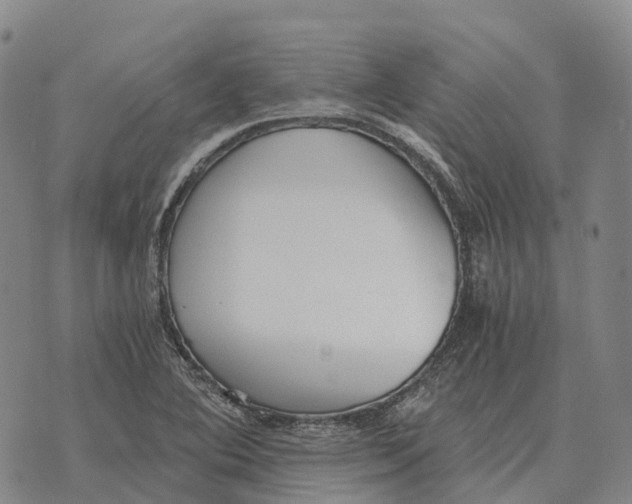 X0000073721364200608311809