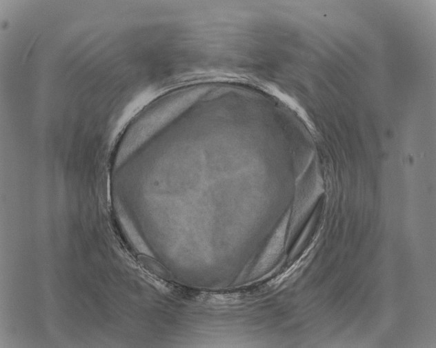 X0000073721365200608311809