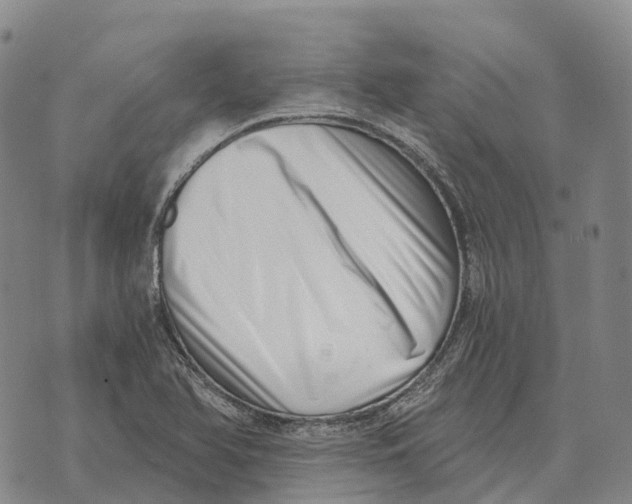 X0000073721366200608311809