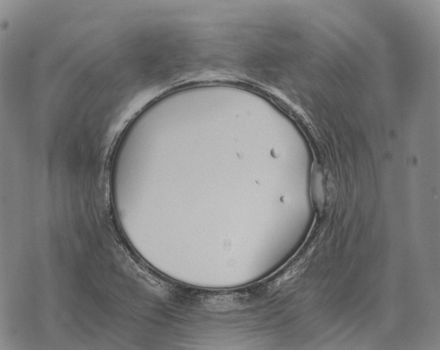 X0000073721367200608311809