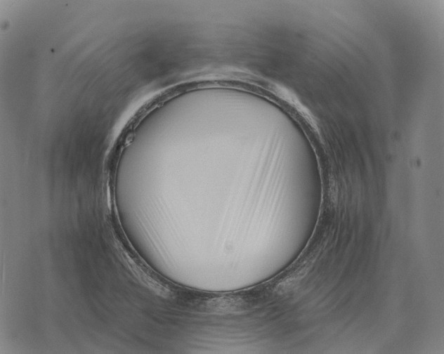 X0000073721368200608311809