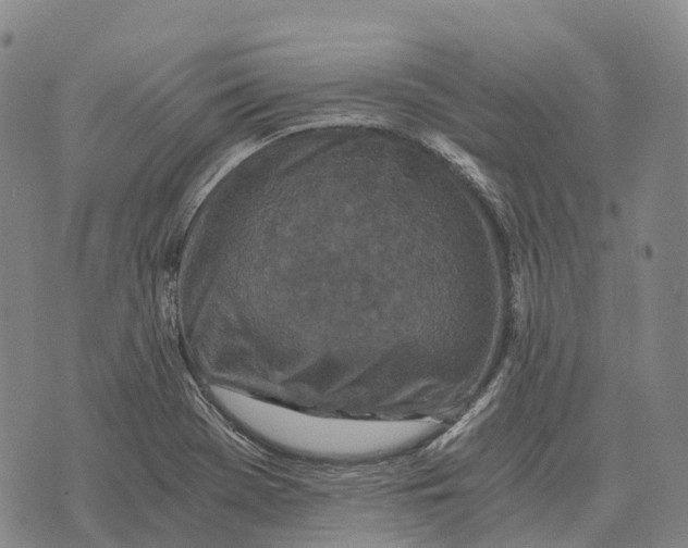 X0000073721369200608311809