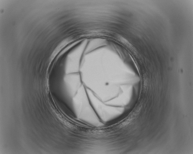 X0000073721370200608311809