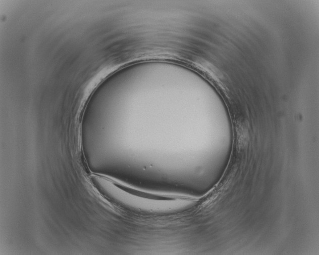 X0000073721371200608311809