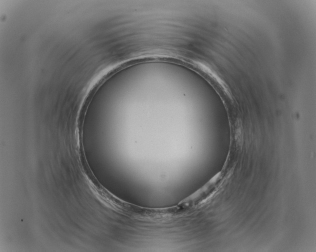 X0000073721372200608311809