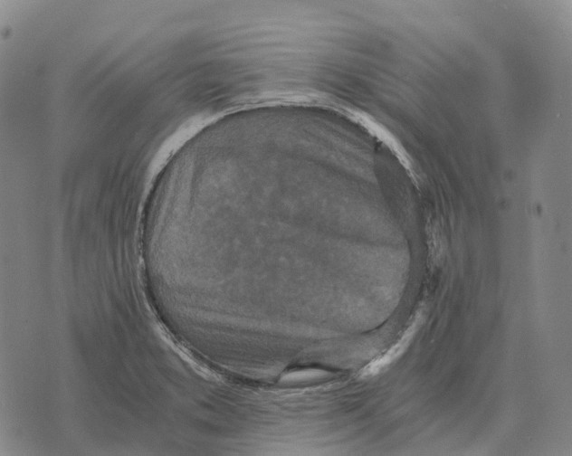 X0000073721373200608311809