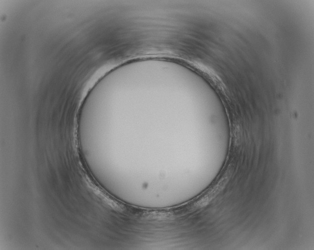 X0000073721374200608311809