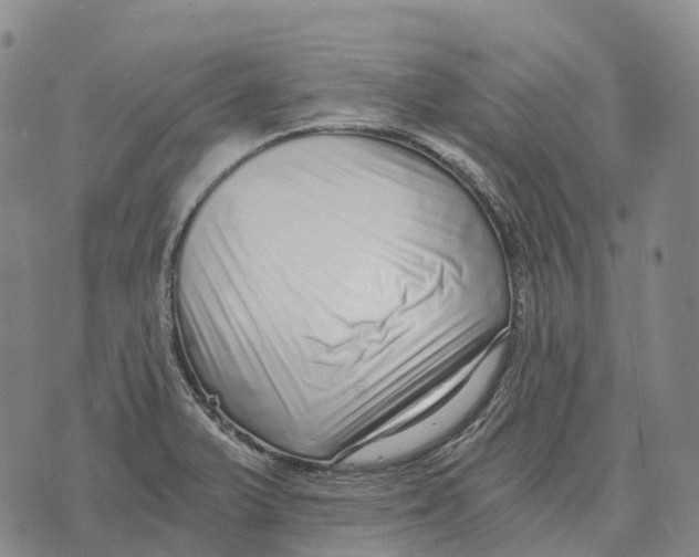 X0000073721375200608311809