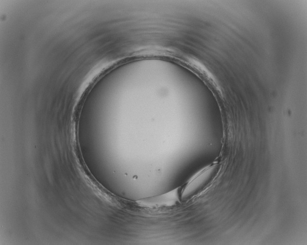 X0000073721376200608311809