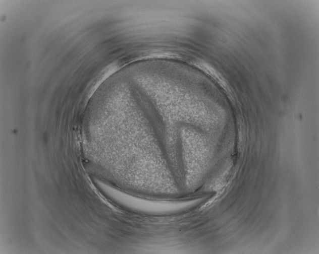 X0000073721377200608311809