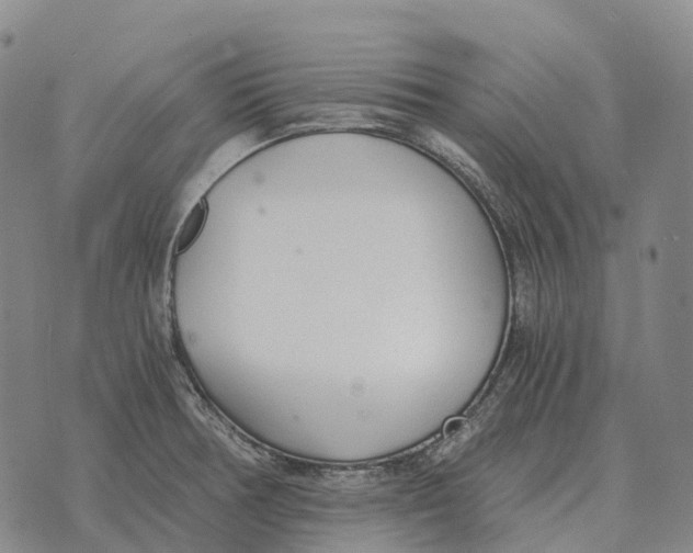 X0000073721378200608311809