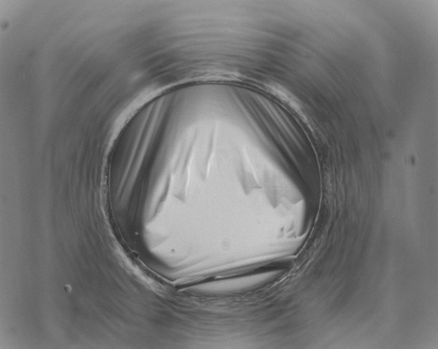 X0000073721379200608311809