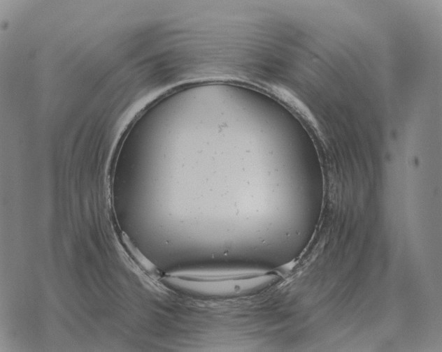 X0000073721380200608311809