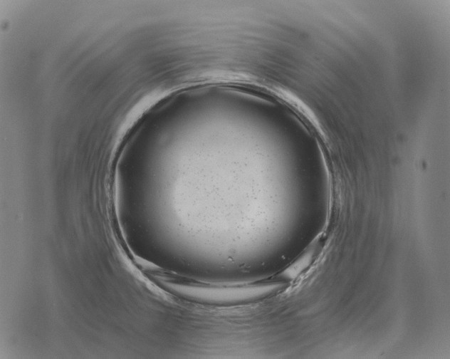 X0000073721381200608311809