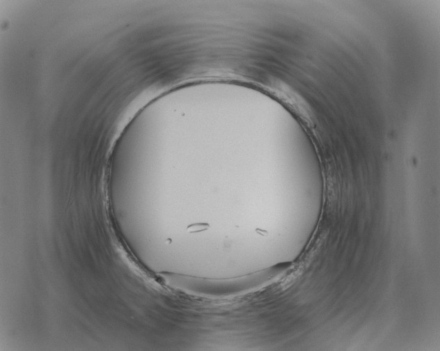 X0000073721382200608311809