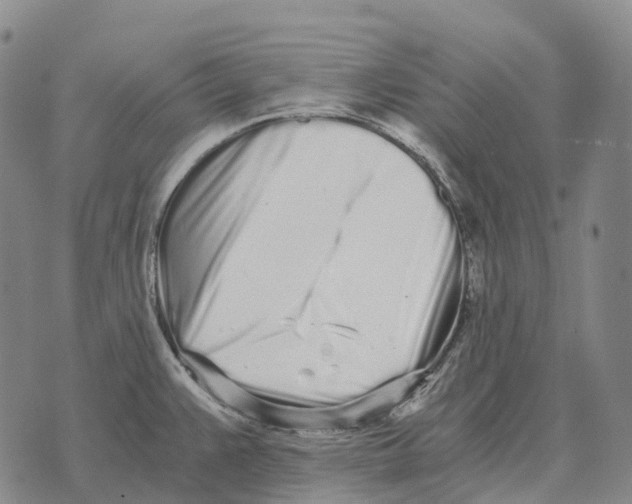 X0000073721383200608311809