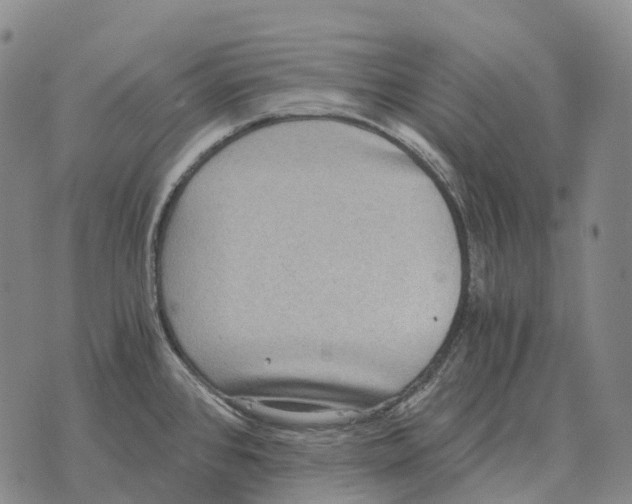 X0000073721384200608311809