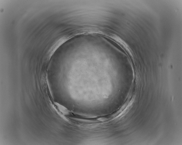 X0000073721385200608311809