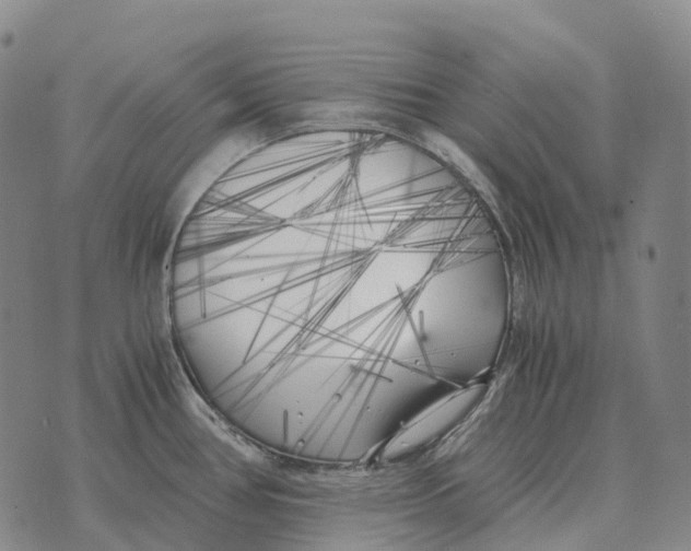 X0000073721386200608311809