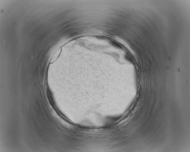 X0000073721387200608311809