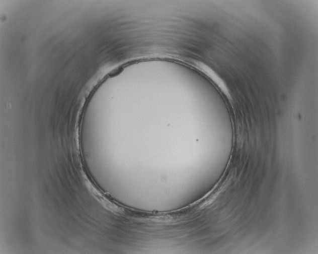 X0000073721388200608311809