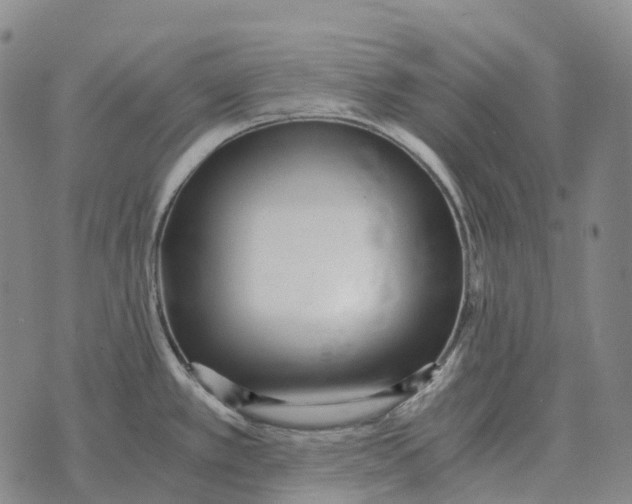 X0000073721389200608311809