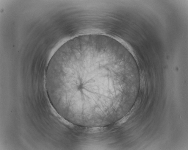 X0000073721390200608311809