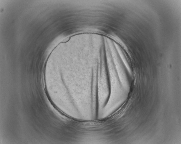 X0000073721391200608311808