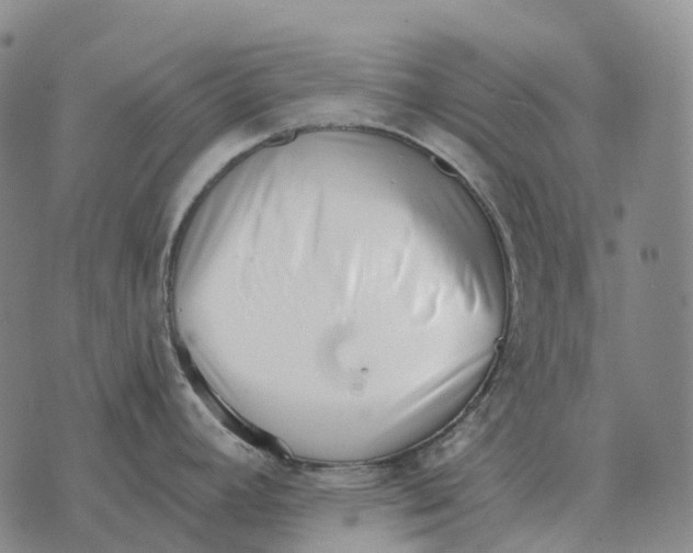 X0000073721392200608311808