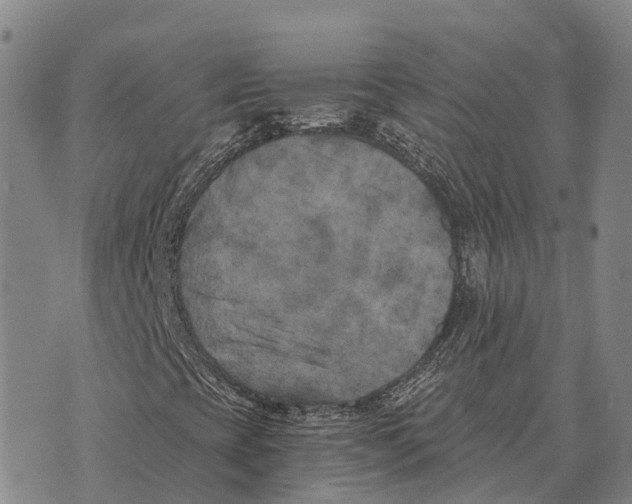 X0000073721393200608311808