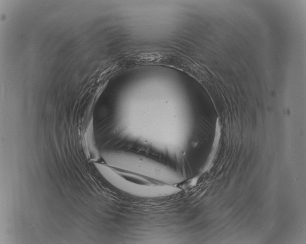 X0000073721394200608311808