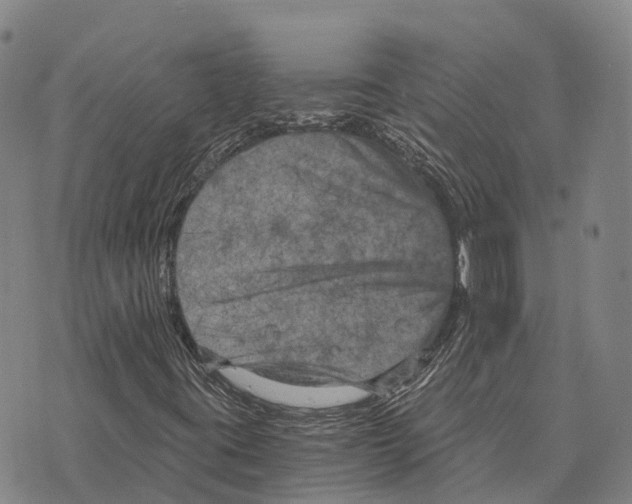 X0000073721395200608311808