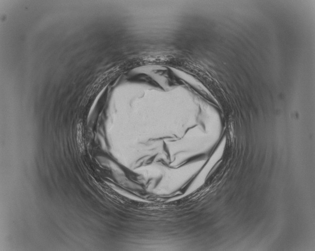 X0000073721396200608311808