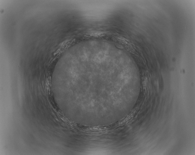 X0000073721397200608311808