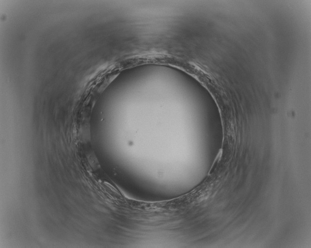 X0000073721398200608311808