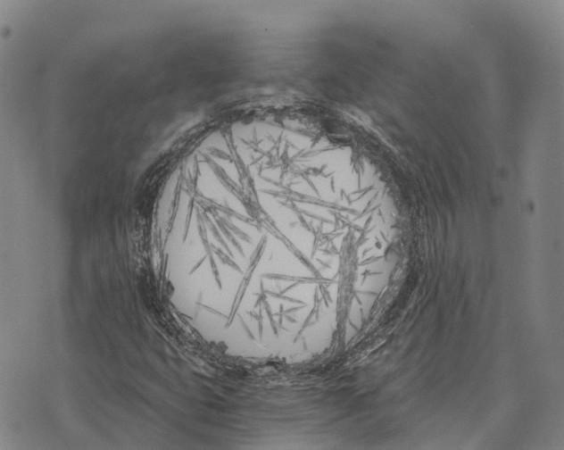 X0000073721399200608311808