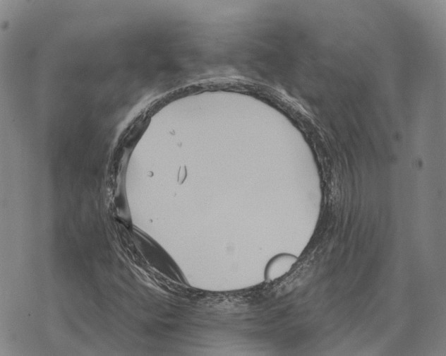 X0000073721400200608311808