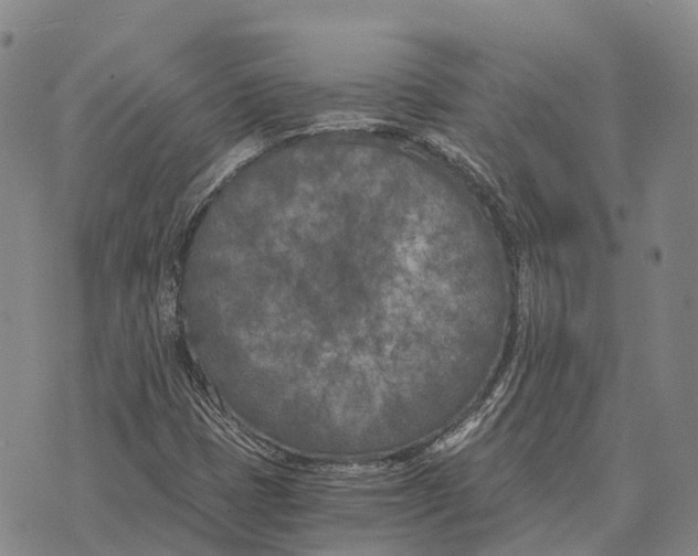 X0000073721401200608311808