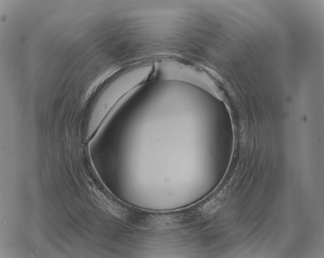 X0000073721402200608311808