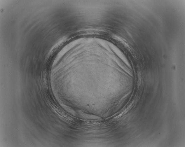 X0000073721403200608311808