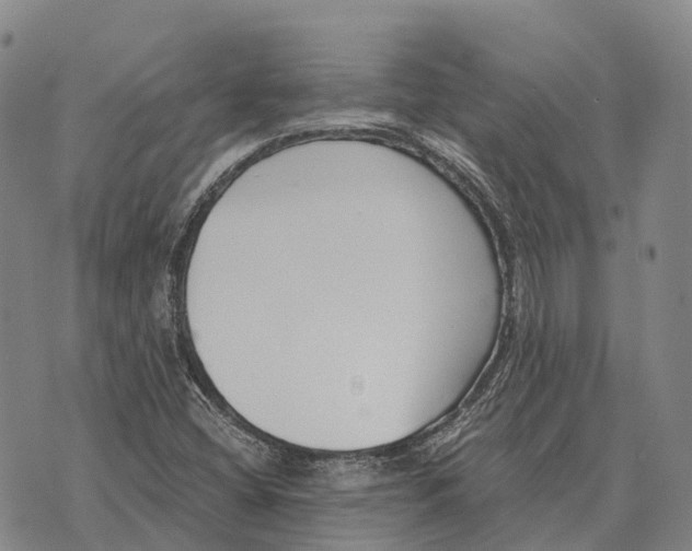 X0000073721404200608311808