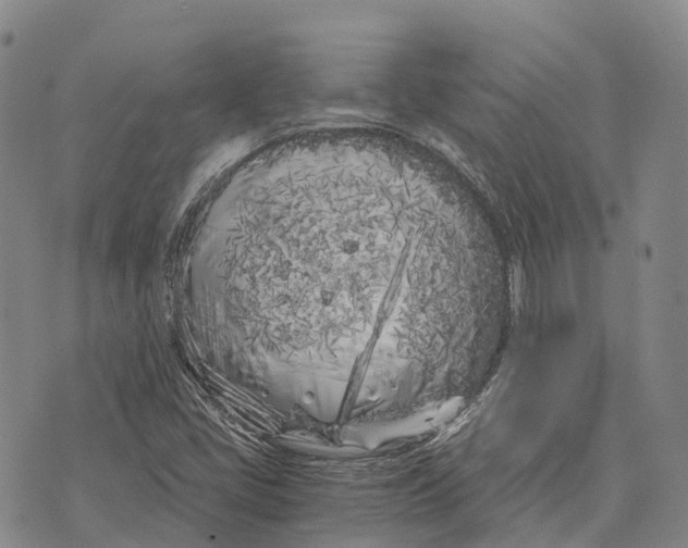 X0000073721405200608311808