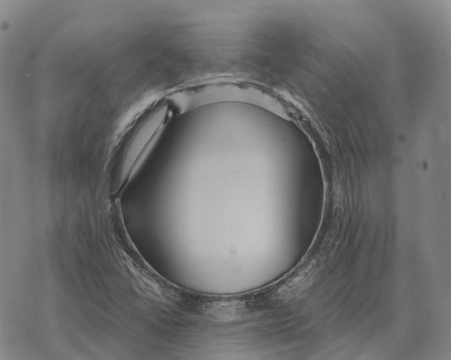 X0000073721406200608311808