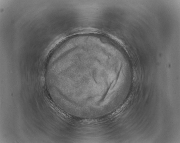 X0000073721407200608311808