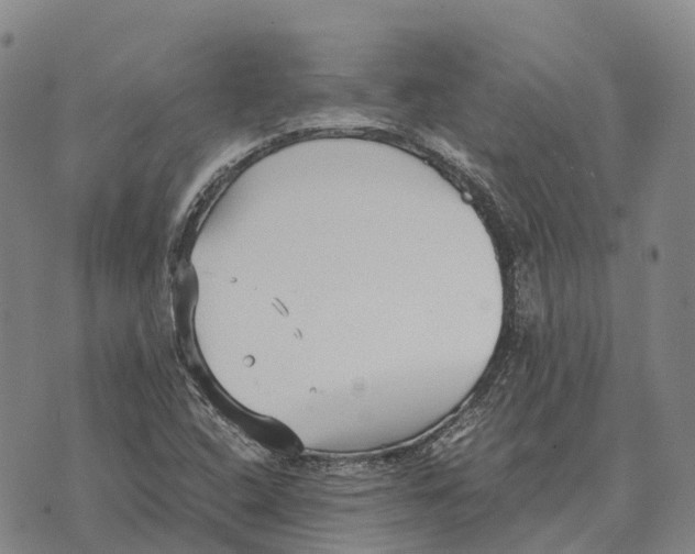 X0000073721408200608311808