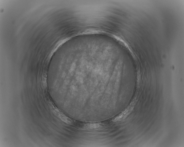 X0000073721409200608311808