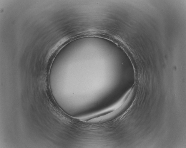 X0000073721410200608311808