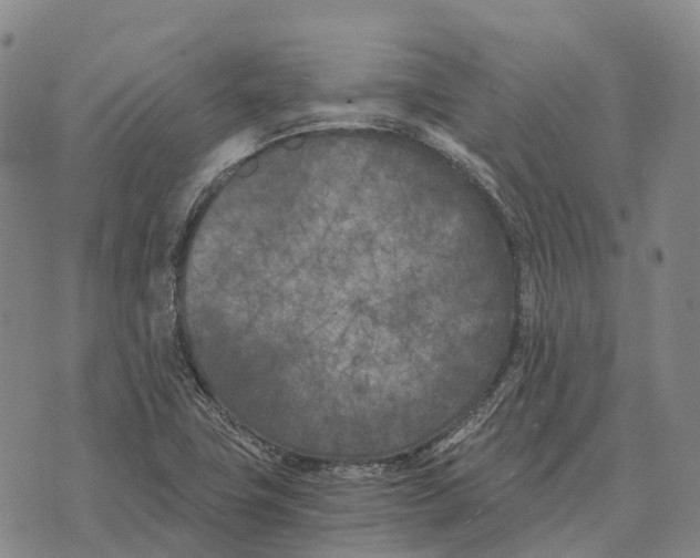 X0000073721411200608311808