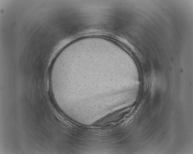 X0000073721413200608311808