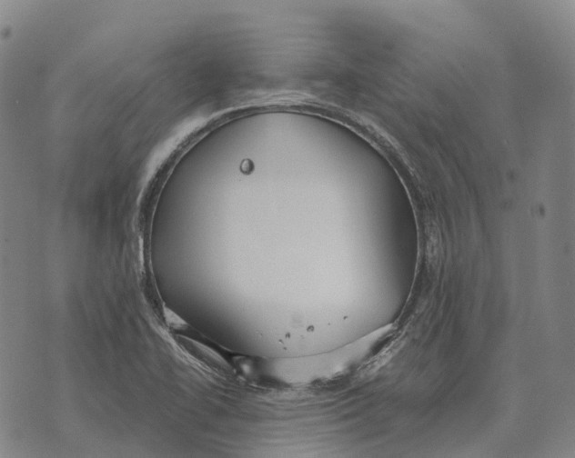 X0000073721414200608311808